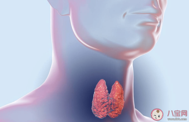甲状腺患者为什么越来越年轻化 如何从日常生活中改善甲状腺结节