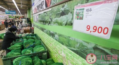 韩国白菜25元|韩国一棵白菜卖近25元 韩国蔬菜为什么那么贵