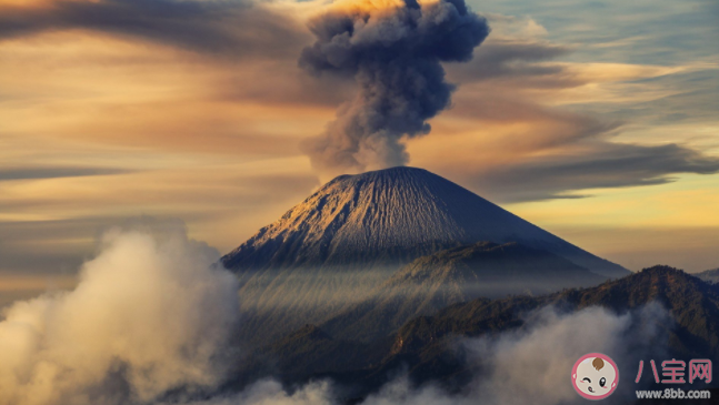 汤加火山灰会飘到中国吗 火山灰其实不是灰