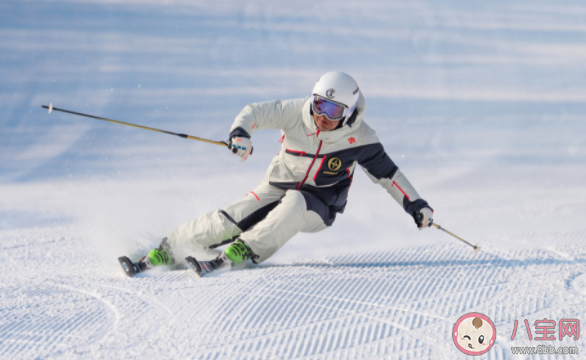 高山滑雪项目|高山滑雪项目中选手滑行过程为什么要碰旗子 蚂蚁庄园2月17日答案介绍