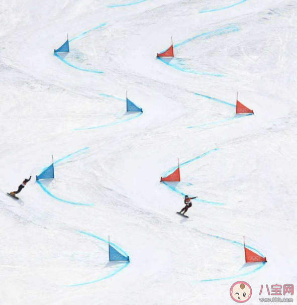 高山滑雪|高山滑雪选手碰旗子原因是什么 蚂蚁庄园2月27日正确答案