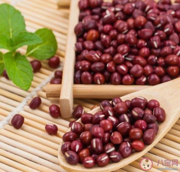 红豆|吃红豆有什么营养好处 怎么买到品质好的红豆