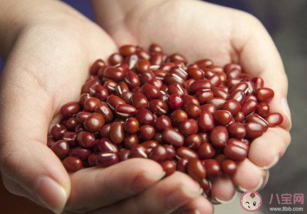 红豆|红豆和红小豆是同一种东西吗 赤小豆和红豆该怎么区分