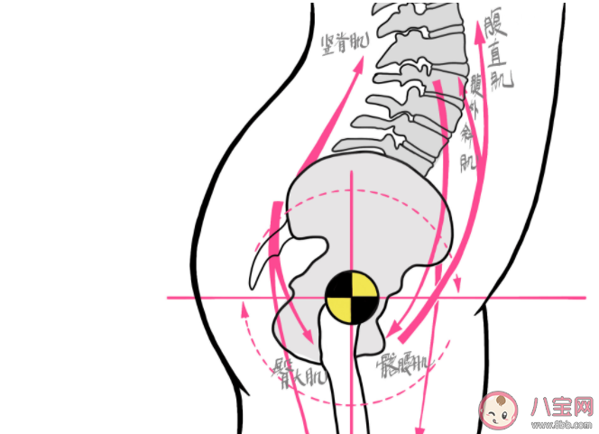 翘臀|什么样的翘臀是骨盆前倾 造成骨盆前倾的原因是什么