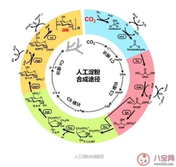 2021年度中国科学10大进展发布 哪些项目入选了