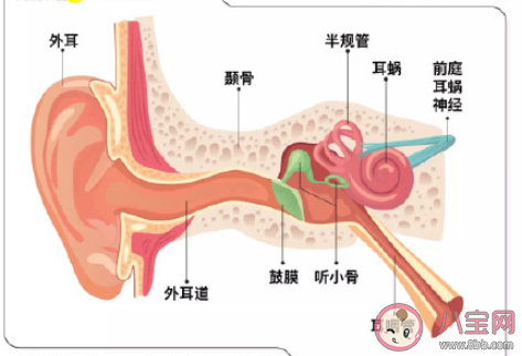 如何预防听力受损 怎样保护自己的听力