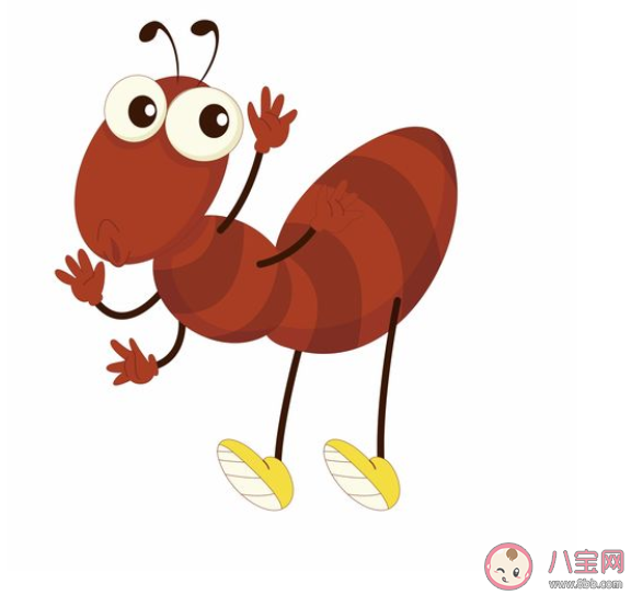 蚂蚁|蚂蚁在冬季消失是因为需要冬眠吗 蚂蚁是如何过冬的
