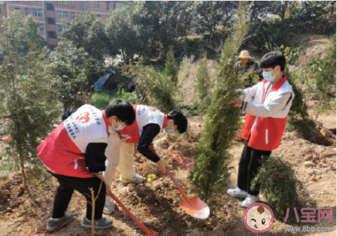 社区植树节种树活动新闻稿三篇 社区植树节栽树的活动报道美篇