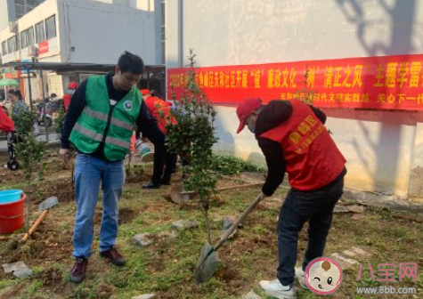 社区植树节种树活动新闻稿三篇 社区植树节栽树的活动报道美篇