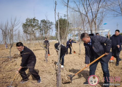 第44个植树节主题活动报道稿简报 第44个植树节植树造林活动简讯