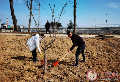 第44个植树节主题活动报道稿简报 第44个植树节植树造林活动简讯