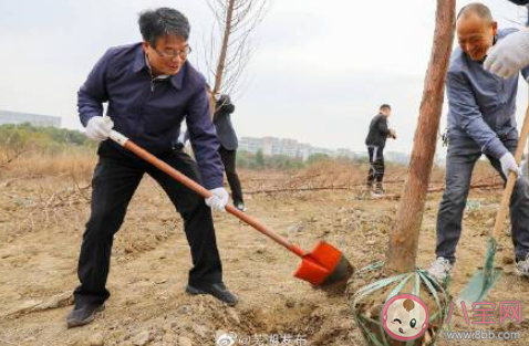 第44个植树节主题活动报道稿简报 第44个植树节植树造林活动简讯