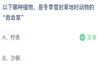 以下哪种植物是冬季封草地时动物的救命草 蚂蚁庄园3月12日答案最新