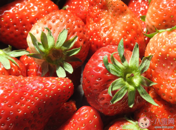 丹东草莓|电商爆款丹东草莓造假 丹东99草莓怎么分辨真假