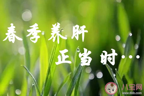 春天如何养肝护肝 春天养肝吃什么