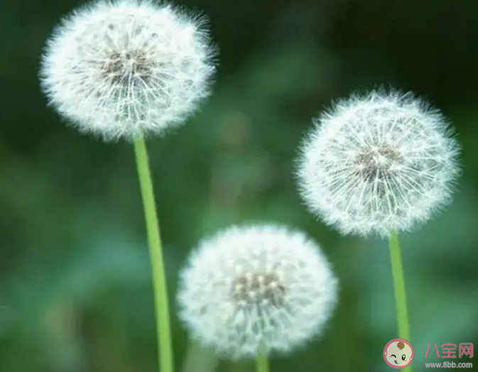 月薪三千应该感到满足吗 3000块的月薪你满足吗