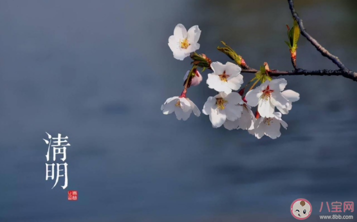 清明节期间不能说早上好吗 清明节期间哪几天不能问好