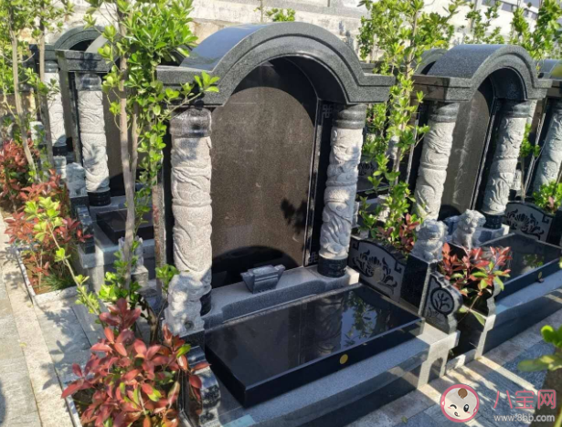 墓地|墓地为什么这么贵 买了墓地到底能住多少年