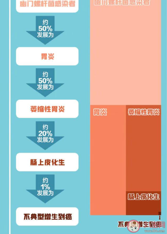 哪些是胃癌高危因素 感染幽门螺杆菌就一定会引起胃癌吗