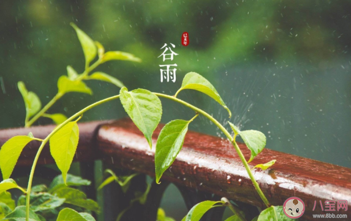 谷雨|南方谷雨摘茶习俗是为了什么 蚂蚁新村4月19日答案