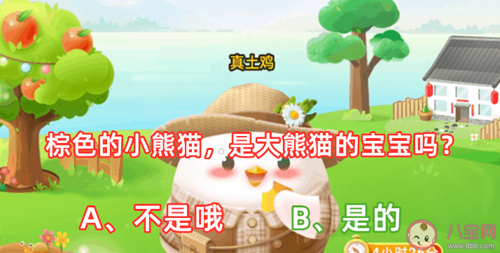 棕色的小熊猫是大熊猫的宝宝吗 蚂蚁庄园4月29日答案