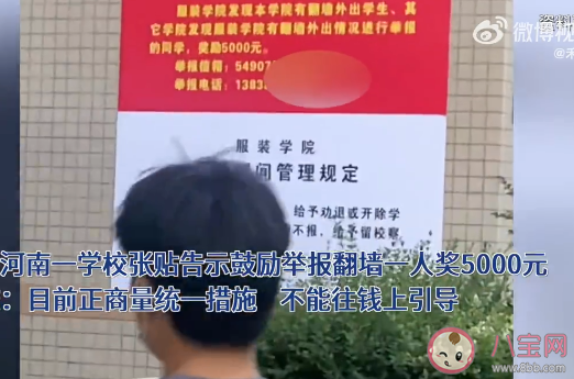 应该用金钱鼓励学生举报吗 要不要鼓励学生举报