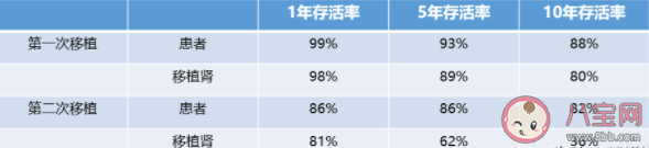 接受了肾移植手术的人体内会有几个肾 肾移植后能活多久