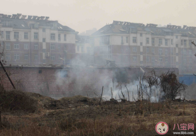 古代烧荒是怎么回事 烧荒真的可以增加土地肥力吗