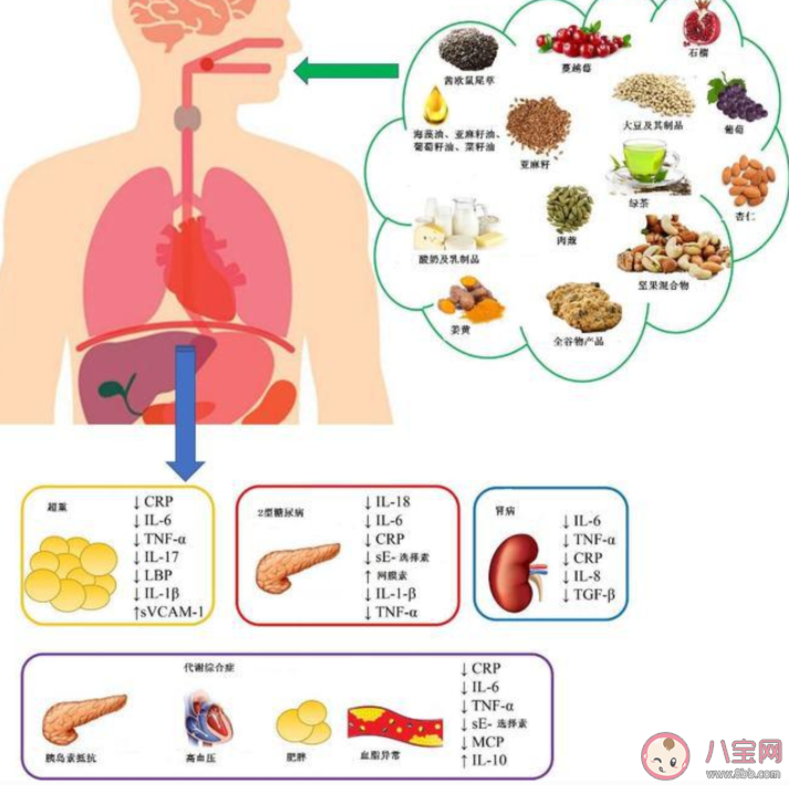 抗炎饮食是什么意思 抗炎饮食包括哪些