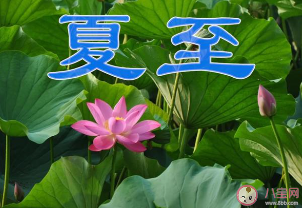 猜猜古人最初靠什么来确定二十四节气 蚂蚁庄园6月21日答案介绍