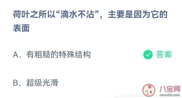 荷叶滴水不沾主要是因为它的表面有什么 蚂蚁庄园7月2日正确答案