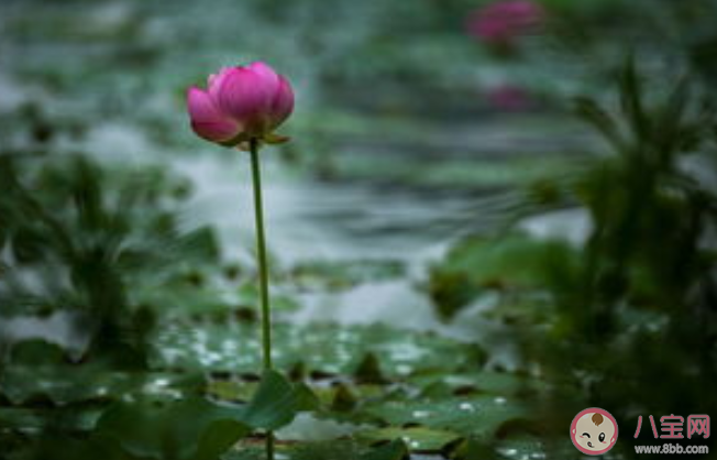 黄梅季节为什么容易有皮肤病 梅雨季节怎么预防皮肤病