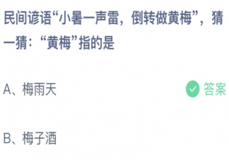 民间谚语小暑一声雷倒转做黄梅中黄梅指的是 蚂蚁庄园7月7日答案最新