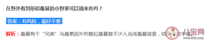 蚂蚁庄园7月12日答案解析：野外看到形似桑葚的小野果可以摘来吃吗