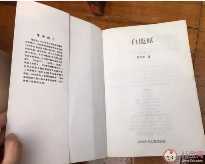 盗版书重金属含量高可能会影响儿童大脑发育 盗版书有哪些危害