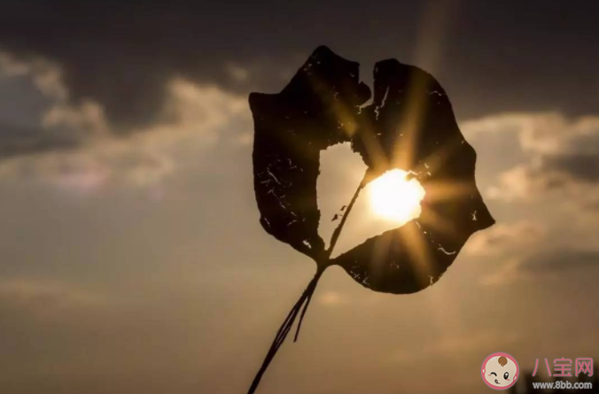 感情确定太快好吗 太快确定感情会有什么危害