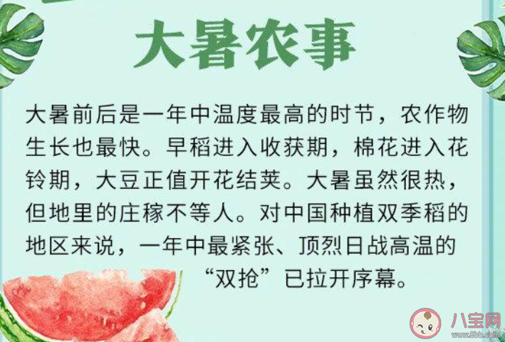 蚂蚁庄园夏季的最后一个节气是什么 小课堂7月23日答案最新