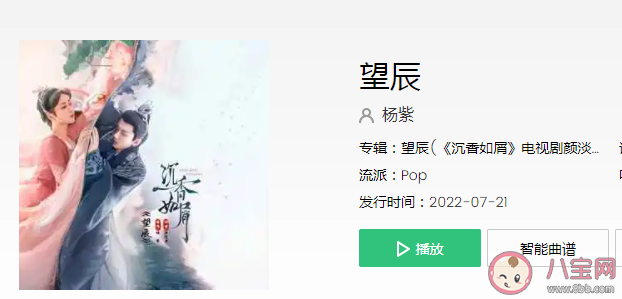 杨紫人物主题曲《望辰》歌词是什么 《望辰》完整版歌词在线听歌