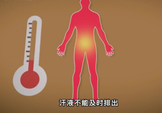 蚂蚁庄园待在室内就不会得热射病了吗 8月20日答案