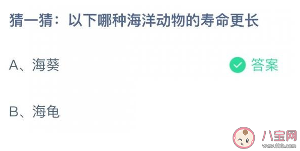 海葵和海龟哪种海洋动物的寿命更长 蚂蚁庄园8月21正确答案