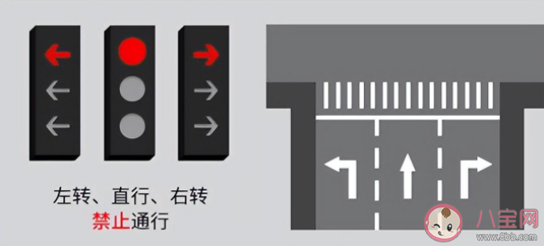 2022新版红绿灯有哪些变化 新版红绿灯为什么争议这么大