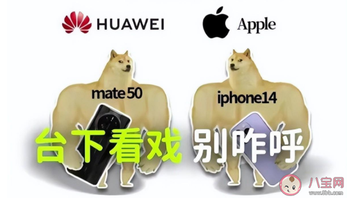 华为Mate50和iPhone14哪个好 这两款手机该怎么选