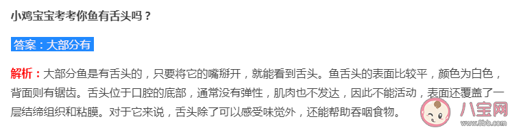 小鸡宝宝考考你鱼有舌头吗 蚂蚁庄园9月16日答案