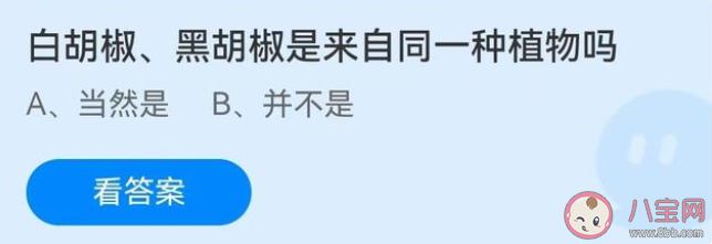 白胡椒黑胡椒是来自同一种植物吗 蚂蚁庄园9月16日答案最新