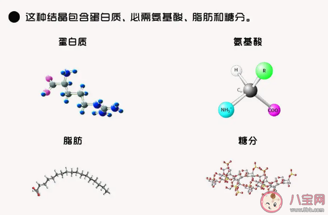 蟑螂奶是什么蟑螂产出来的奶吗 蟑螂奶是怎么发现的