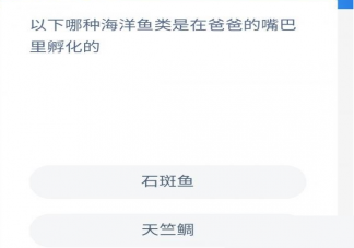 哪种海洋鱼类是在爸爸的嘴巴里孵化的 蚂蚁森林神奇海洋9月30日答案