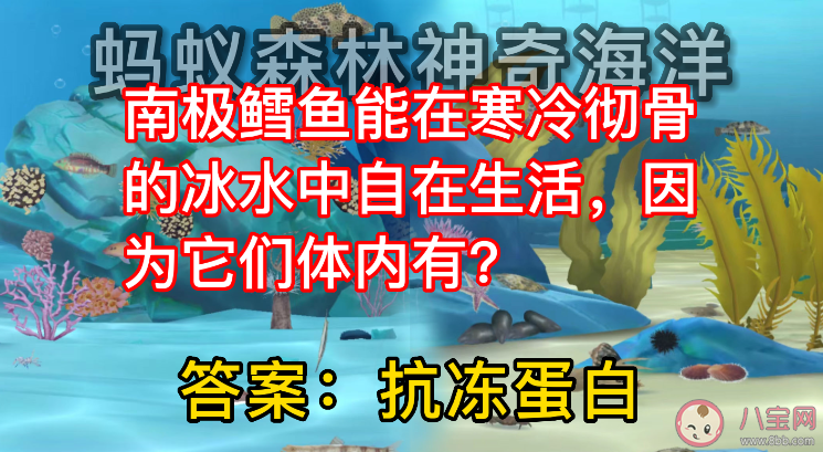 南极鳕鱼在冰水中生活因为它们体内有什么蛋白 蚂蚁庄园神奇海洋10月2日答案