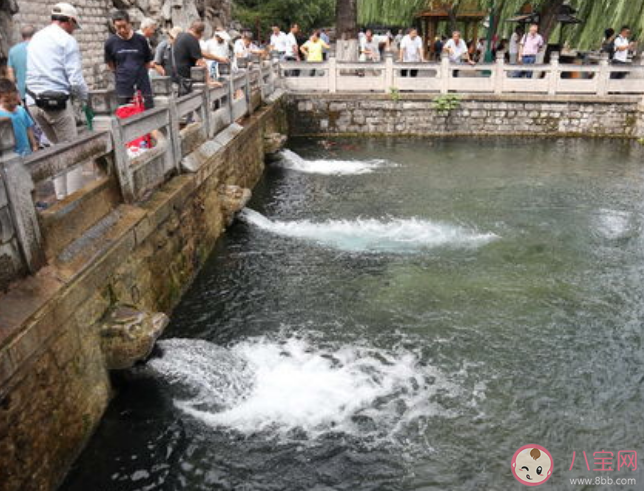 蚂蚁庄园家家泉水户户垂杨形容哪座城市的景色 10月10答案解析