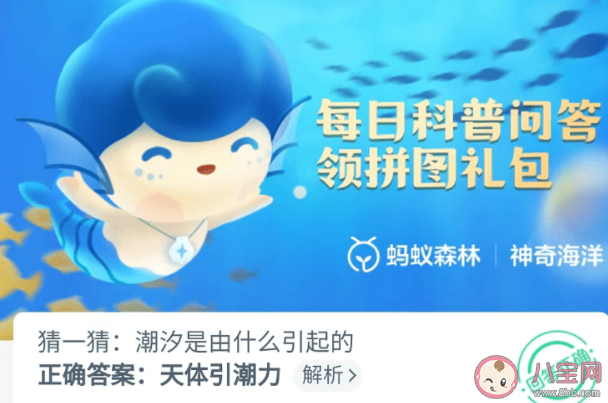 潮汐是由天体引潮力还是海洋引潮力引起的 神奇海洋10月9日答案介绍