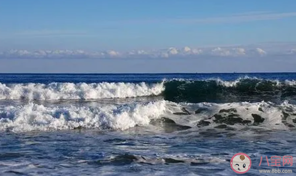 潮汐是由天体引潮力还是海洋引潮力引起的 神奇海洋10月9日答案介绍